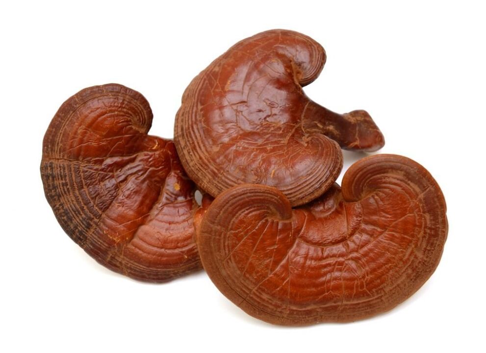 Weiprost contén cogomelos Reishi