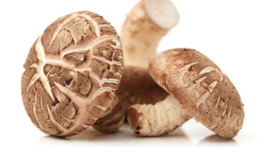 Weiprost contén cogomelos shiitake